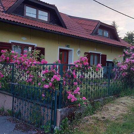 Apartamento Kuca Za Odmor ,Erdelj 21 B Generalski Stol Exterior foto