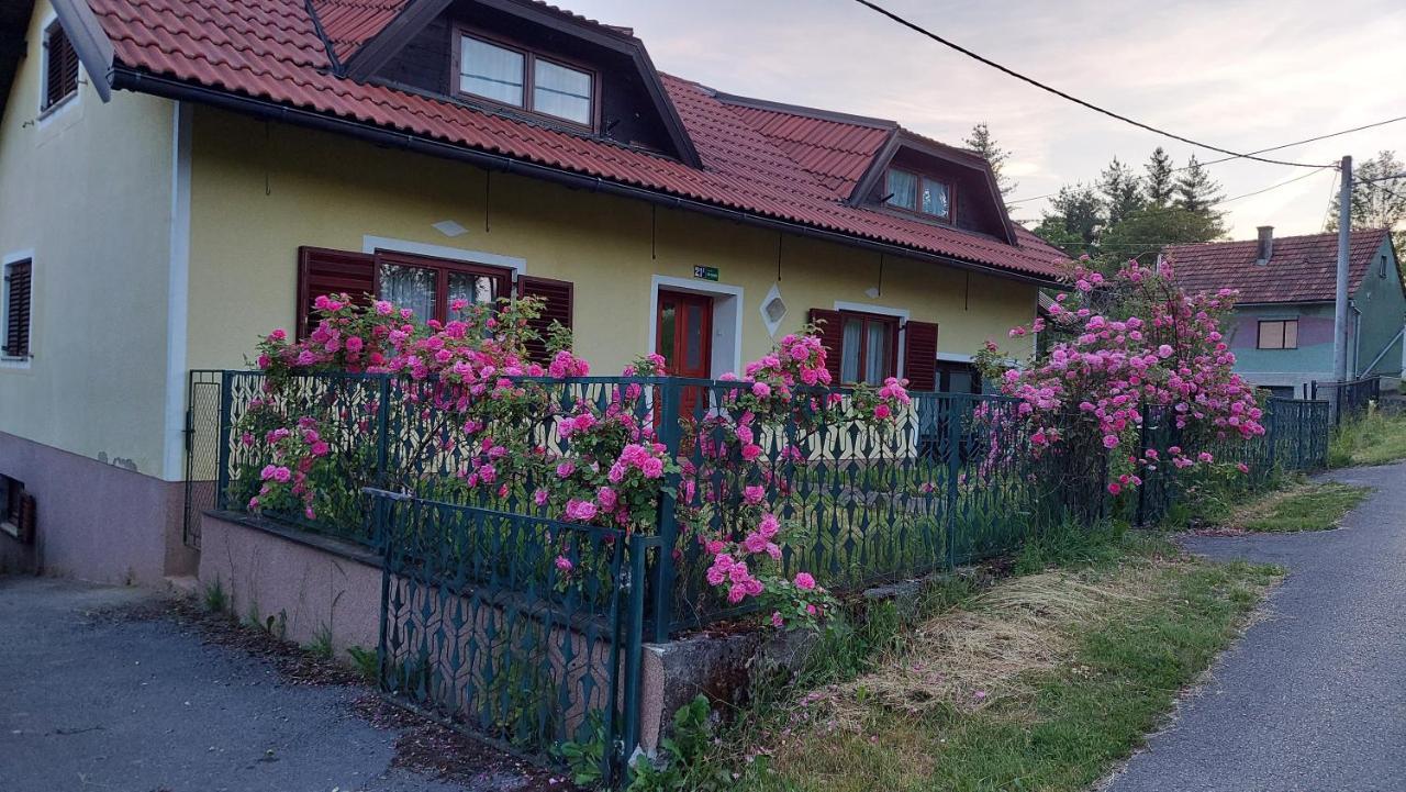 Apartamento Kuca Za Odmor ,Erdelj 21 B Generalski Stol Exterior foto