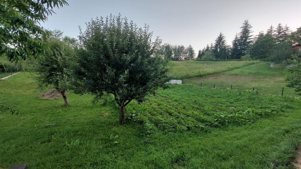 Apartamento Kuca Za Odmor ,Erdelj 21 B Generalski Stol Exterior foto